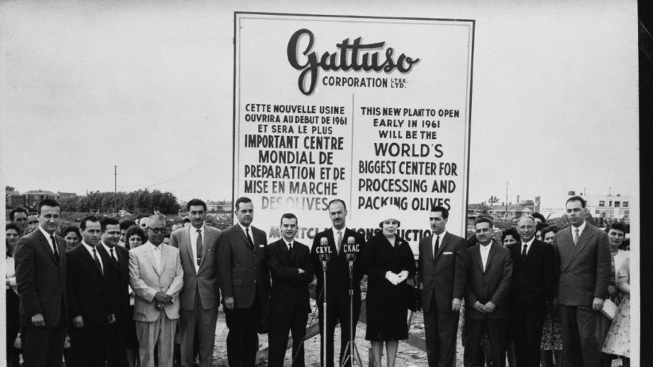 Gattuso Inc.