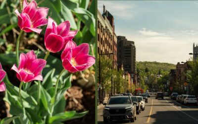 News from Laurier W!